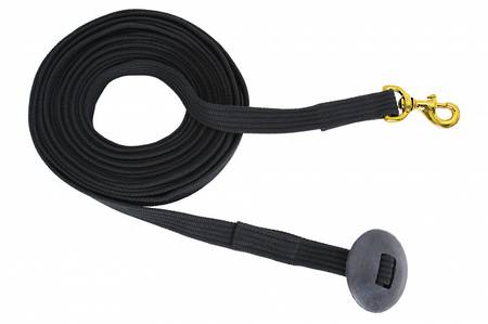 Blue Tag Cotton Web Lunge Lead