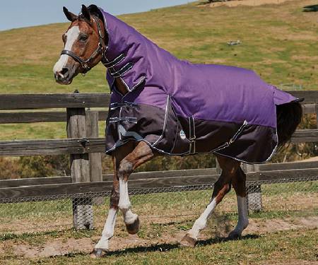 Weatherbeeta Comfitec Plus Dynamic II Combo - Medium/Lite