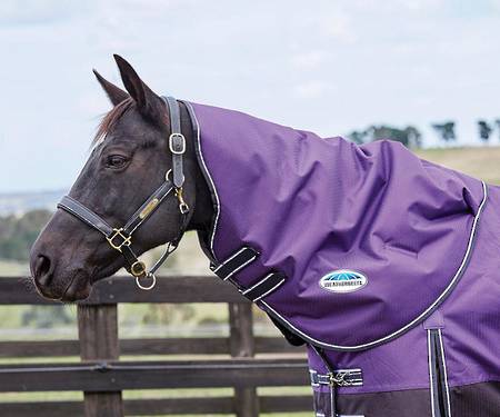 Weatherbeeta Comfitec Plus Dynamic II Neck Rug - Medium/Lite