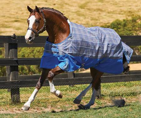 Weatherbeeta Comfitec Premier Free Standard Neck Lite - No Fill