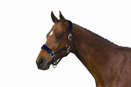 Roma Fleece Shaped Headstall