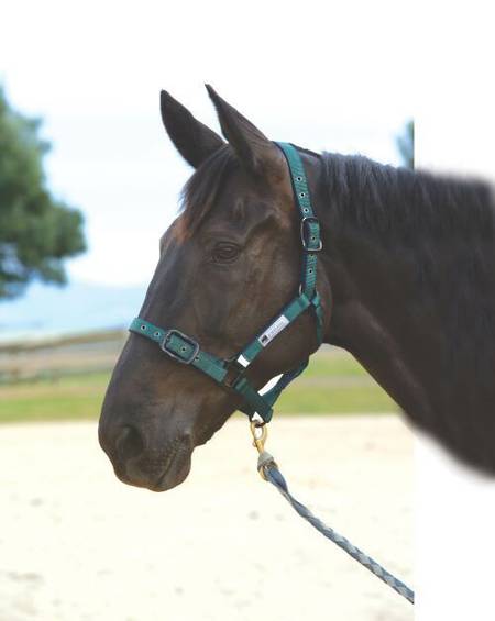 Roma Co Ordinate Halter