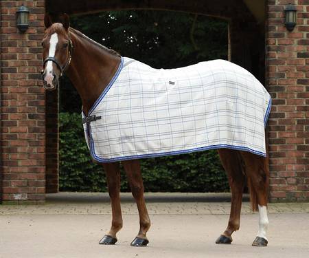 Weatherbeeta Deluxe Trim Cotton Show Rug