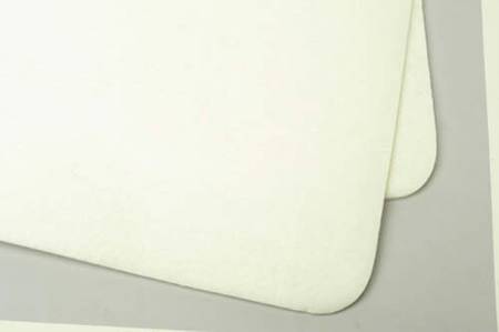 Roma Leg Pads