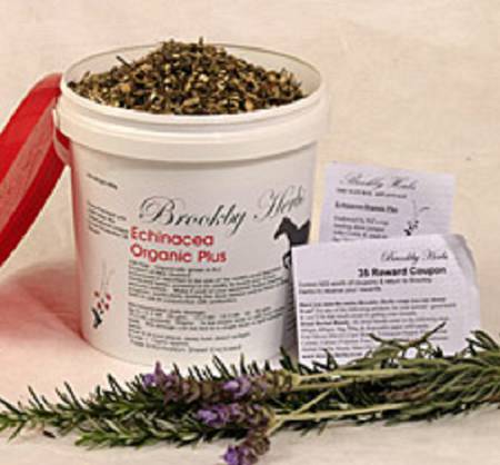 Brookby Herbs Echinacea Organic Plus