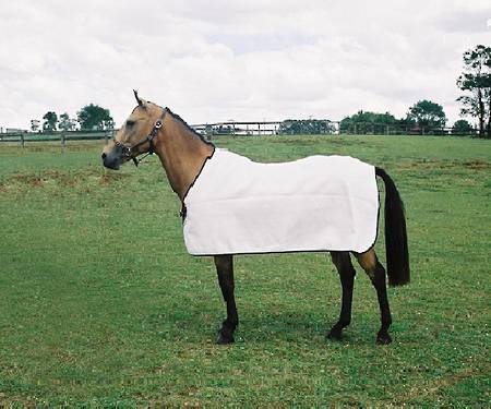 Flair Under Rug