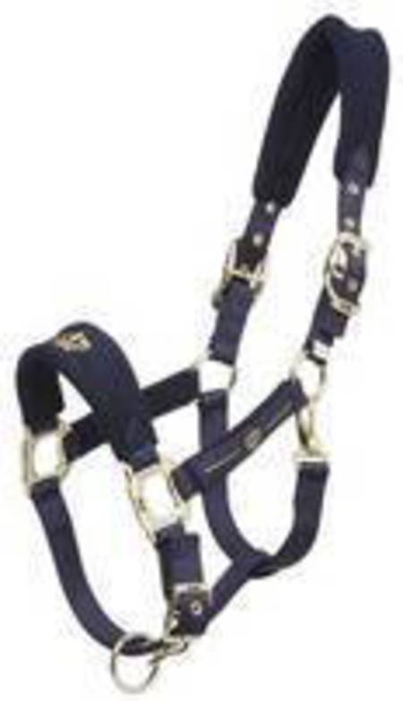 Zilco Gold Crown Halter