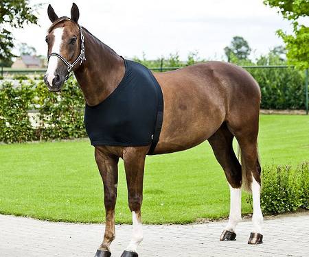 Horze Comforce Shoulder Rug