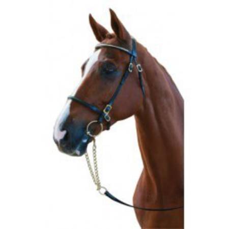 Collegiate In Hand Bridle with Clincher Browband