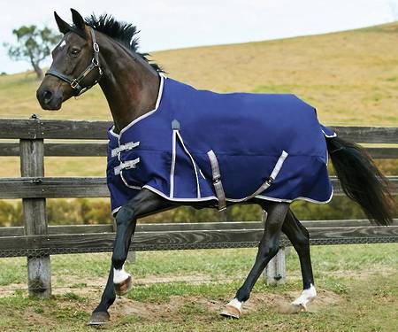 Weatherbeeta Comfitec Essential - Lite Plus 50gm Standard Neck