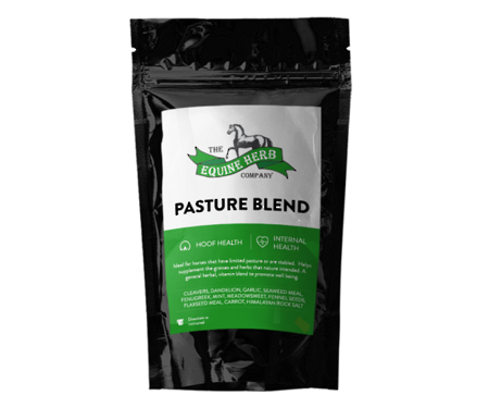 Equine Herb Pasture Blend