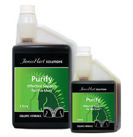James Hart Purify 500