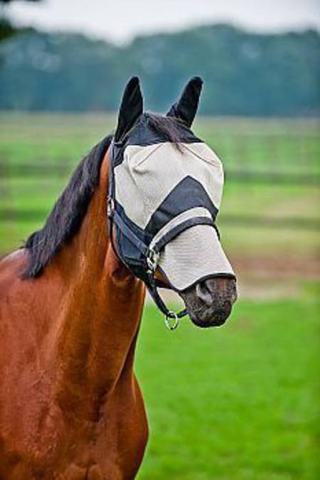 Horze Long Nose Fly Mask