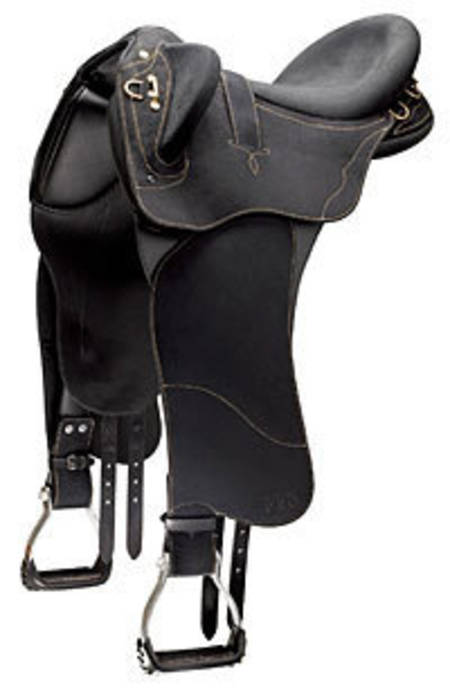 Wintec Pro Stock CS with Swinging Fender-Hart