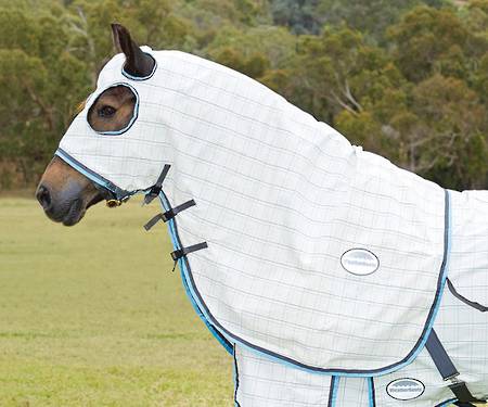 Weatherbeeta Summer Sheet Cotton Hood