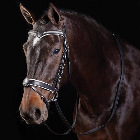 Collegiate V Shaped Diamante Bridle