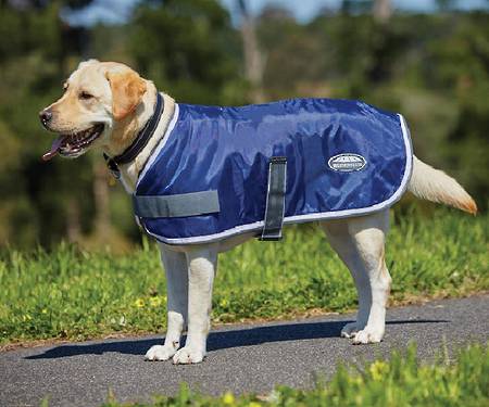 Weatherbeeta Windbreaker 420D Dog Coat