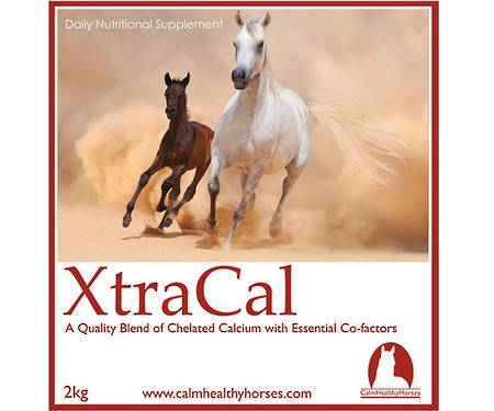 Calm Healthy Horses - XtraCal