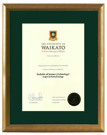 Waikato Degree Gold Frame 264