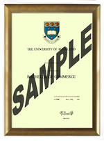 Auckland University Degree Gold Frame 802