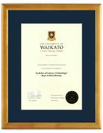 Waikato Degree 28hona423 CONSERVATION