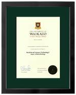 Waikato Degree 699sb8447 CONSERVATION