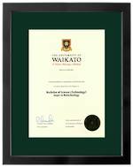 Waikato Degree 699sb 264