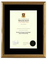 Waikato Degree Gold Frame 8433 CONSERVATION