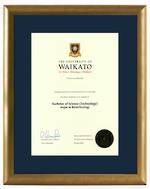 Waikato Degree Gold Frame 423 CONSERVATION