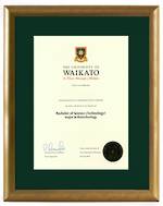 Waikato Degree Gold Frame 8447 CONSERVATION