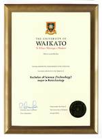 Waikato Degree Gold Frame 802