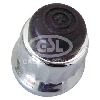 Cap & Spring for Electronic Ignition