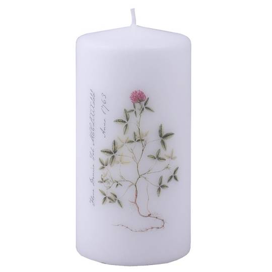 Flora Danica Pillar Candle, Clover