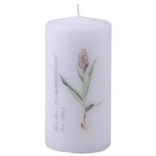 Flora Danica Pillar Candle, Orchid