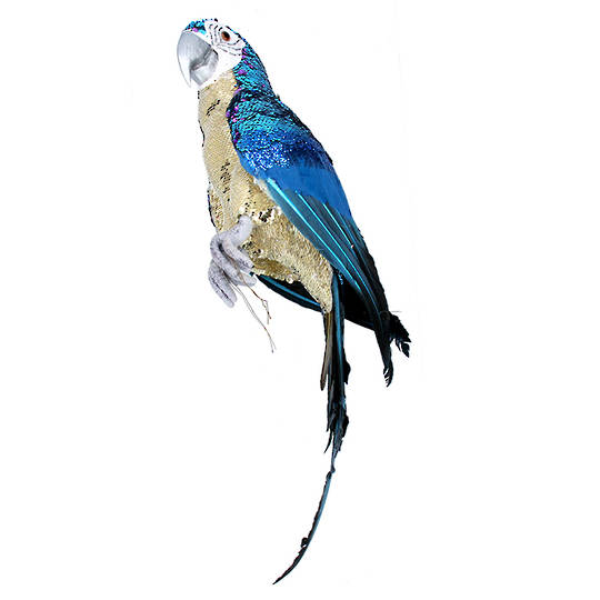 Party Blue Macaw 63cm SOLD OUT