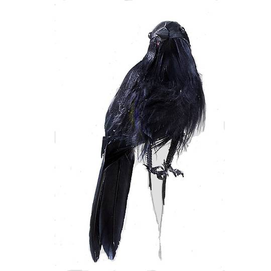 BirdWire Black Feathered 11cm