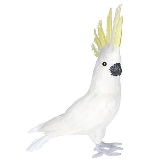 Feather Cockatoo 40cm