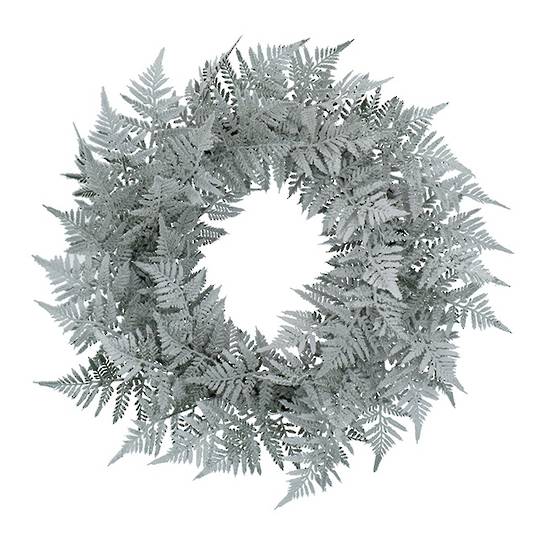 Frosted Flock Fern Wreath 50cm *ETA NOV