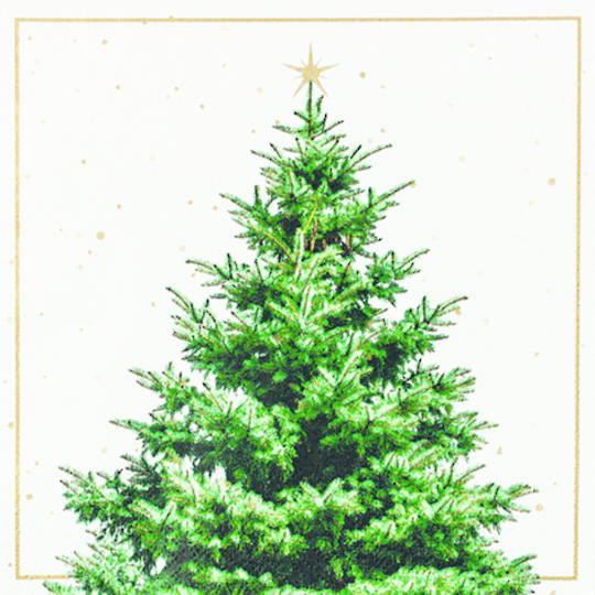 Paper Napkins 33cm, Fir Tree