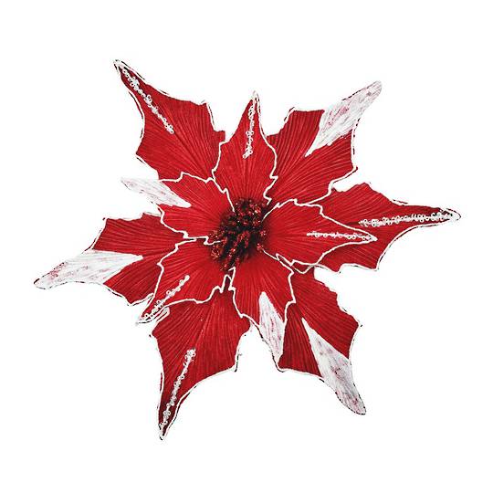 Buy One, Donate One - Maxi Red & White Poinsettia Clip 33cm *ETA NOV