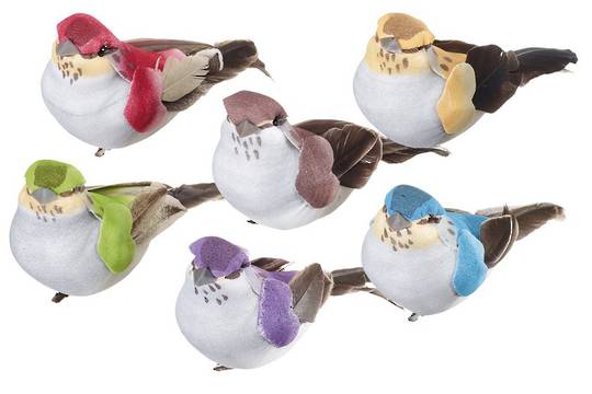 Clourful Bird Clip