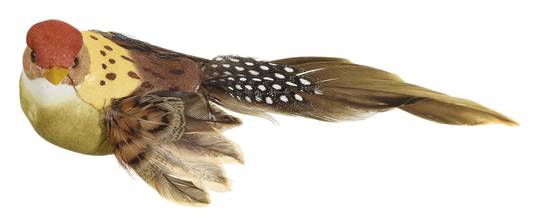 BirdClip Sparrow 14cm