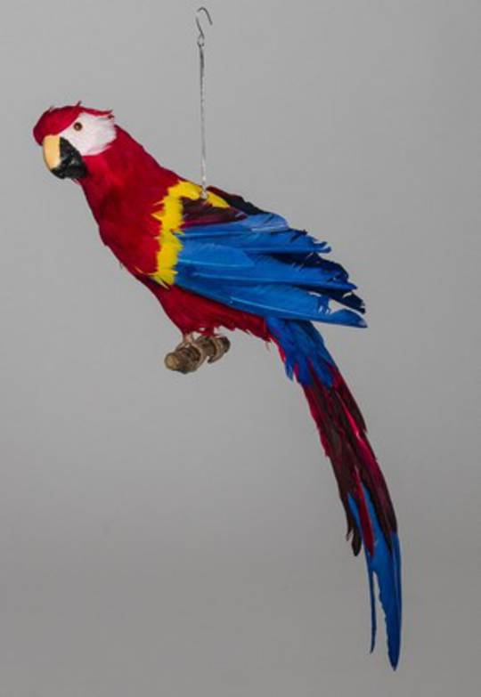 Red Macaw 65cm