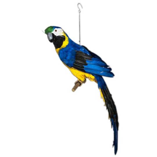 Blue Macaw 65cm