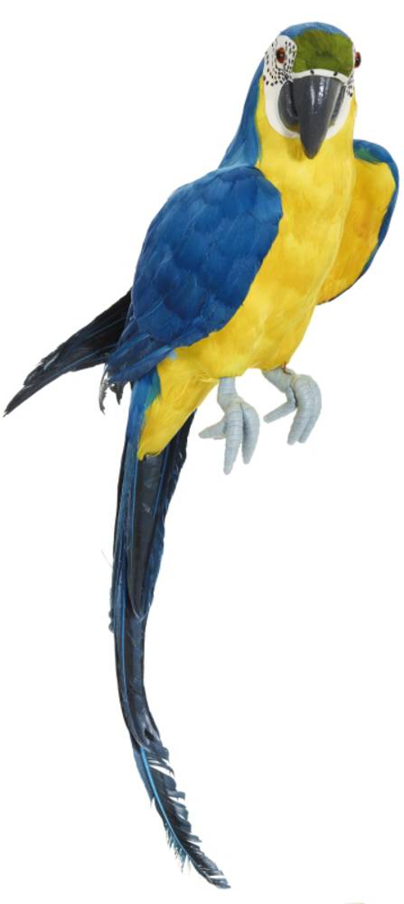 Perching Blue Macaw 85cm