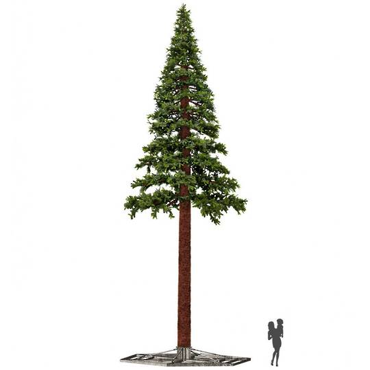 Indent Only - Giant Pine Christmas Tree
