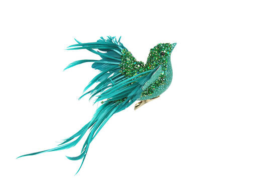 Clip, Green & Turquoise Feather Bird