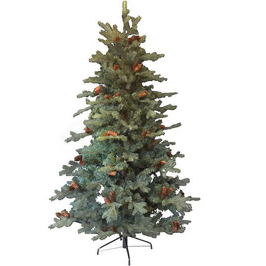 Spruce with cones Tree 1.8mtr