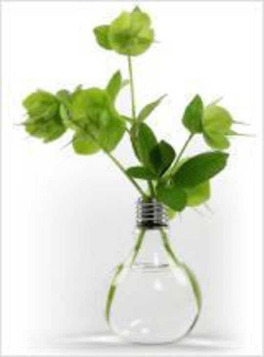 OD Light Bulb Vase Large