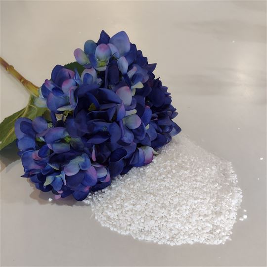 Blue Hydrangea (300 gms)